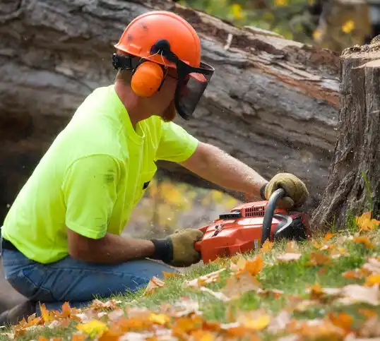 tree services Millingport